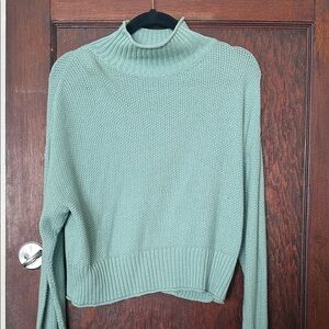 American Eagle Outfitters Light Green Turtleneck Sweater